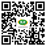 公眾號